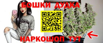 ГАЛЛЮЦИНОГЕННЫЕ ГРИБЫ Новодвинск