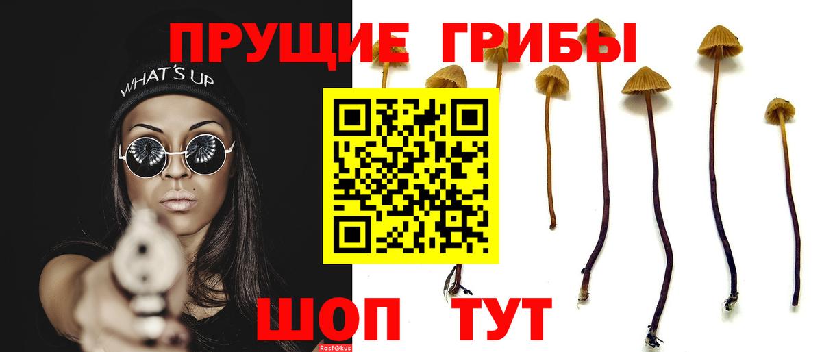 Псилоцибиновые грибы Psilocybine cubensis  магазин    Вход с VPN  Тихвин  Псилоцибиновые грибы мухоморы 